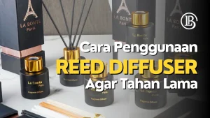 Cara Penggunaan Reed Diffuser